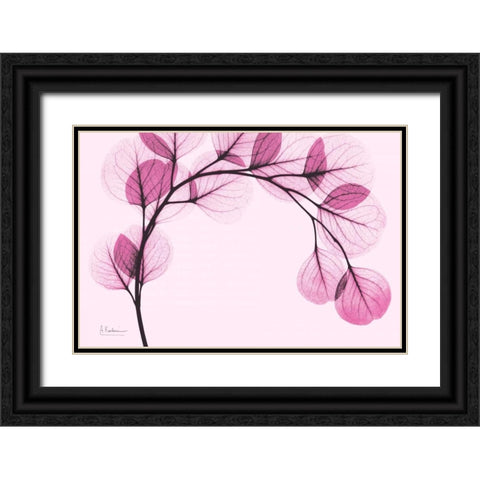 Pink Eucalyptus Black Ornate Wood Framed Art Print with Double Matting by Koetsier, Albert