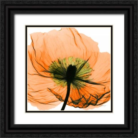 Poppy Orange Black Ornate Wood Framed Art Print with Double Matting by Koetsier, Albert