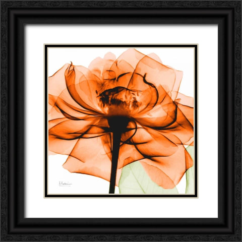 Orange Rose Black Ornate Wood Framed Art Print with Double Matting by Koetsier, Albert