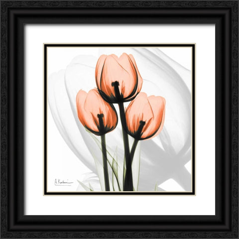 Orange tulips Black Ornate Wood Framed Art Print with Double Matting by Koetsier, Albert