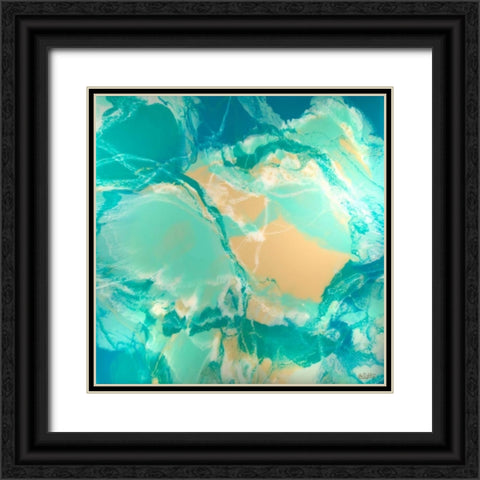 Ocean Floor Black Ornate Wood Framed Art Print with Double Matting by Bilotta, Barbara