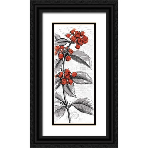 Red Flower Black Ornate Wood Framed Art Print with Double Matting by Grey, Jace