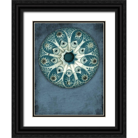 Blue Coastal Black Ornate Wood Framed Art Print with Double Matting by Grey, Jace