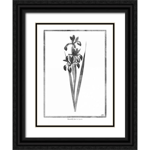Butterfly Iris Black Ornate Wood Framed Art Print with Double Matting by Grey, Jace