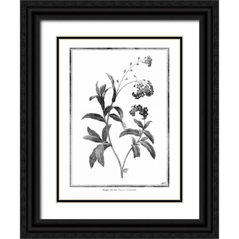 Forget me not Black Ornate Wood Framed Art Print with Double Matting by Grey, Jace