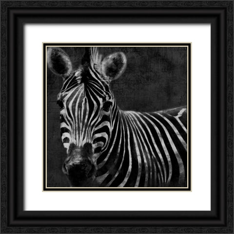 Zebra Black And White Black Ornate Wood Framed Art Print with Double Matting by Grey, Jace