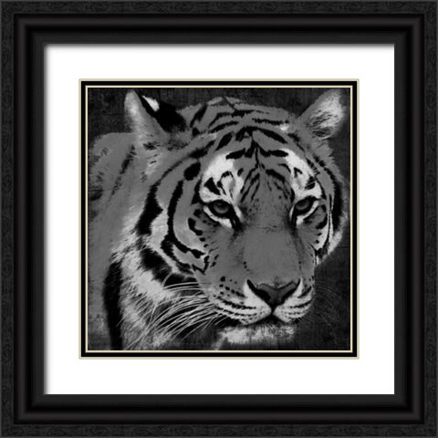 Tiger Black And White Black Ornate Wood Framed Art Print with Double Matting by Grey, Jace