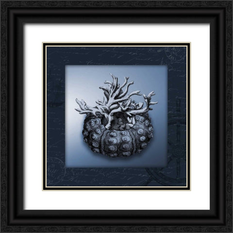 Nautical blue bordered Black Ornate Wood Framed Art Print with Double Matting by Grey, Jace