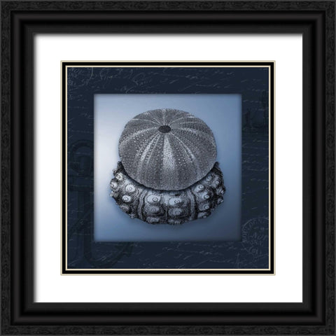 Nautical blue mate Bordered Black Ornate Wood Framed Art Print with Double Matting by Grey, Jace