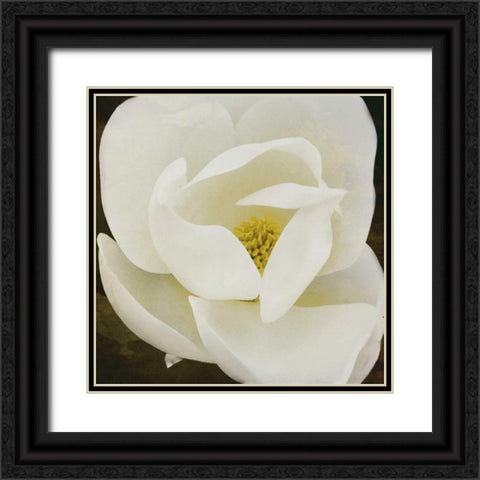 MAG Black Ornate Wood Framed Art Print with Double Matting by Grey, Jace