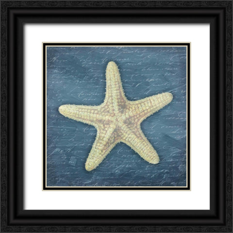 Star Fish Light Blue Black Ornate Wood Framed Art Print with Double Matting by Grey, Jace