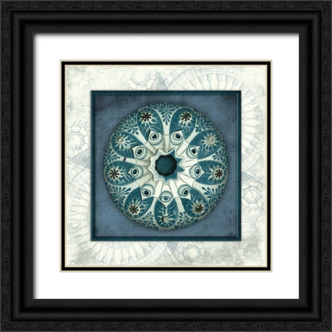 Coastal blue_ bordered Black Ornate Wood Framed Art Print with Double Matting by Grey, Jace