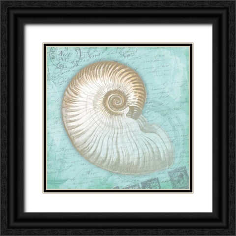 Nautical Shells Black Ornate Wood Framed Art Print with Double Matting by Grey, Jace