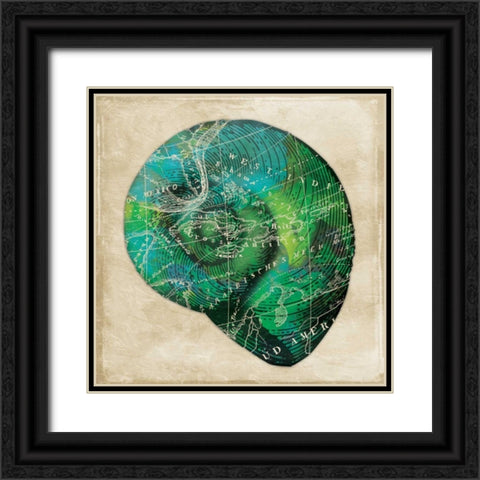 Map Shell2 Black Ornate Wood Framed Art Print with Double Matting by Grey, Jace