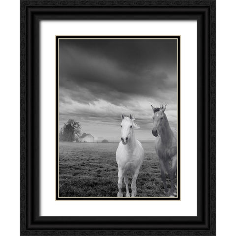 Not So Gray Times Black Ornate Wood Framed Art Print with Double Matting by Keith, Jesse