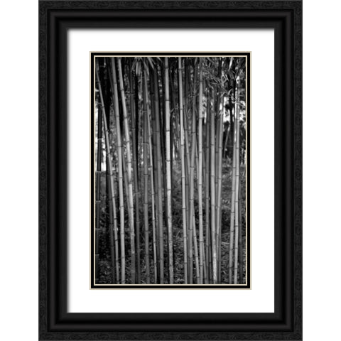 Beach Foliage 2 Black Ornate Wood Framed Art Print with Double Matting by Grey, Jace