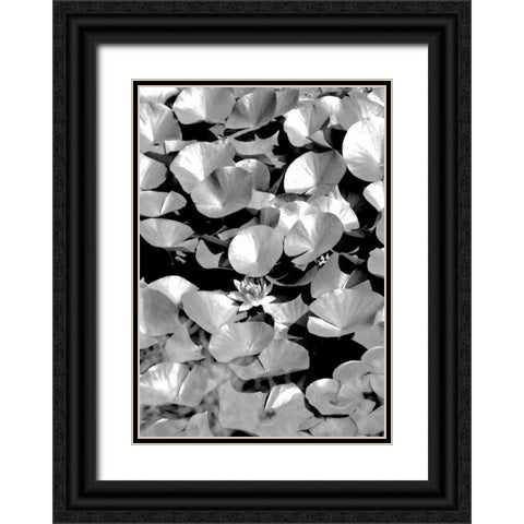 Beach Foliage 5 Black Ornate Wood Framed Art Print with Double Matting by Grey, Jace