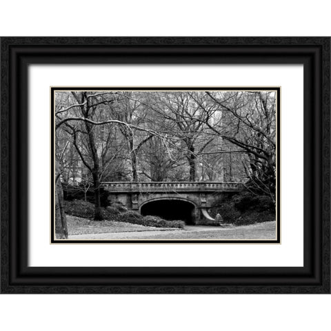 Central Park Bridge 2 Black Ornate Wood Framed Art Print with Double Matting by Grey, Jace