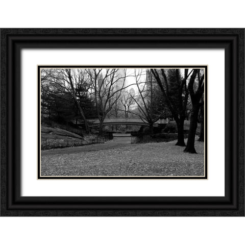 Central Park Bridge 3 Black Ornate Wood Framed Art Print with Double Matting by Grey, Jace