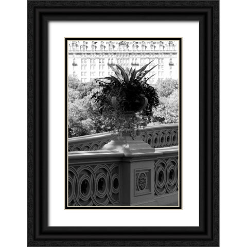 Central Park Bridge 5 Black Ornate Wood Framed Art Print with Double Matting by Grey, Jace