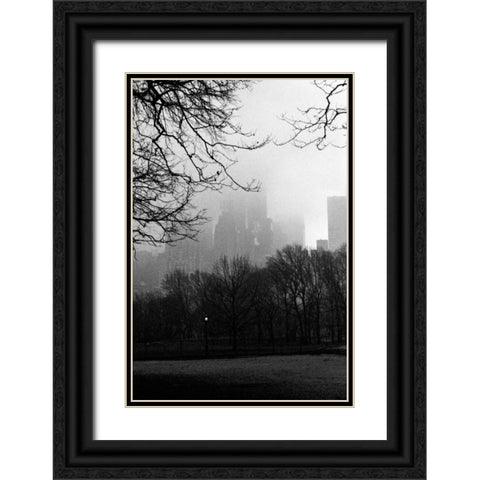 Central Park A Black Ornate Wood Framed Art Print with Double Matting by Grey, Jace