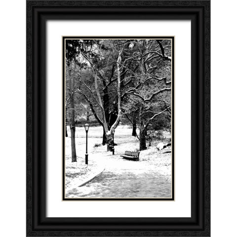 Central Park Snowy Scene Black Ornate Wood Framed Art Print with Double Matting by Grey, Jace