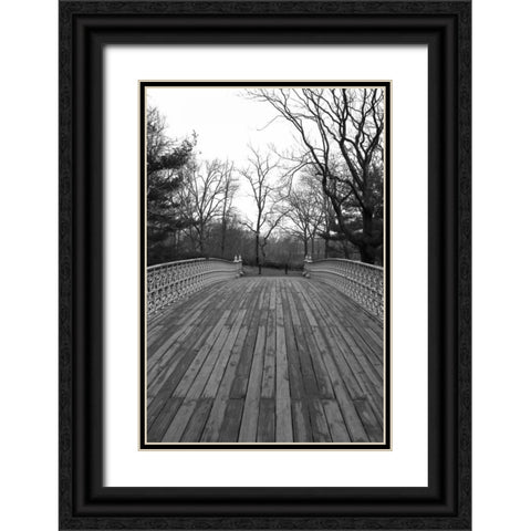 Central Park Bridge 4 Black Ornate Wood Framed Art Print with Double Matting by Grey, Jace