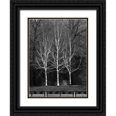 Central Park Three Amigos Fall Black Ornate Wood Framed Art Print with Double Matting by Grey, Jace