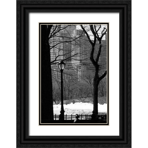 Central Park Concrete Forest Black Ornate Wood Framed Art Print with Double Matting by Grey, Jace