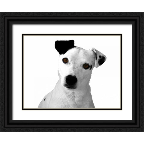 Jack Russell Buddy 2 Black Ornate Wood Framed Art Print with Double Matting by Grey, Jace