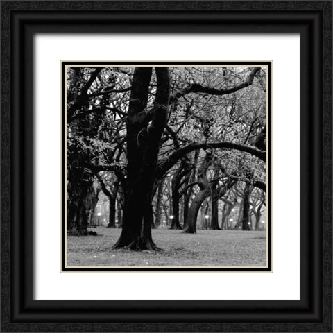 Central Park 2A Black Ornate Wood Framed Art Print with Double Matting by Grey, Jace