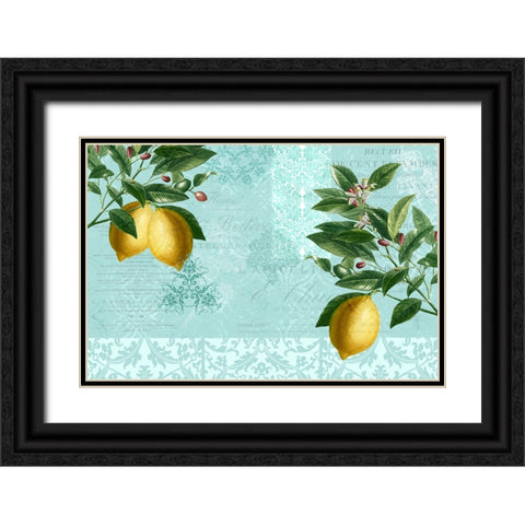Lemon Drop Black Ornate Wood Framed Art Print with Double Matting by Allen, Kimberly