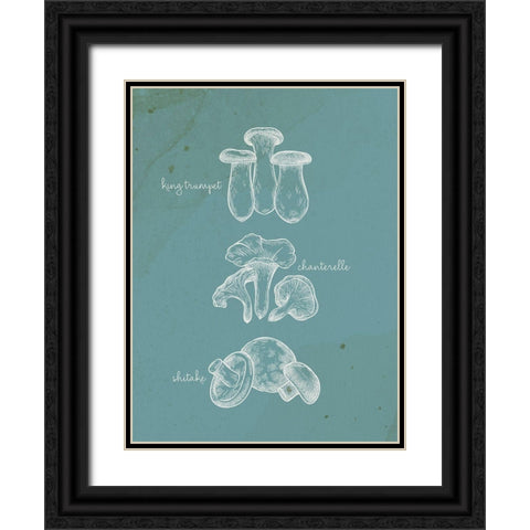 Mushroom Type 1 Black Ornate Wood Framed Art Print with Double Matting by Allen, Kimberly