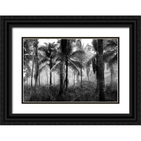 Palms Black And White Black Ornate Wood Framed Art Print with Double Matting by Allen, Kimberly