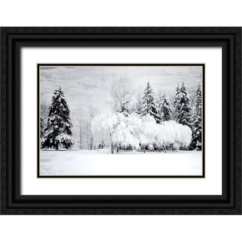 Winter Snow Black Ornate Wood Framed Art Print with Double Matting by Allen, Kimberly