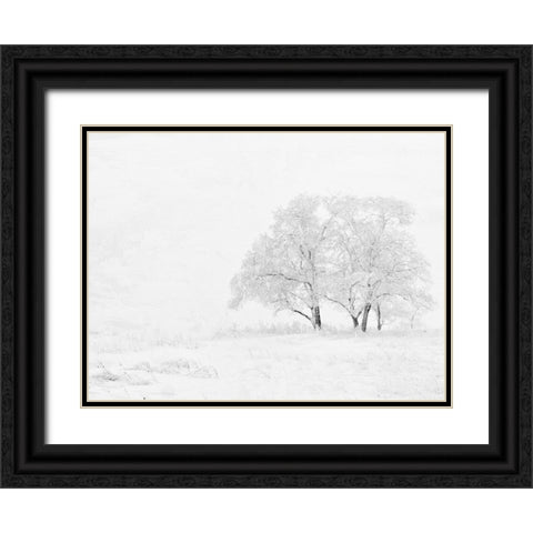 Winter White Black Ornate Wood Framed Art Print with Double Matting by Allen, Kimberly