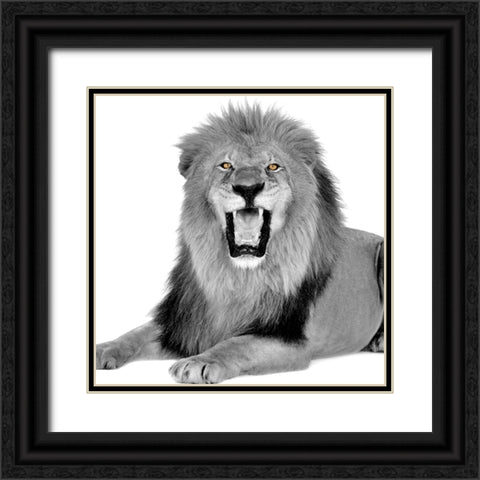 Power Black Ornate Wood Framed Art Print with Double Matting by Allen, Kimberly