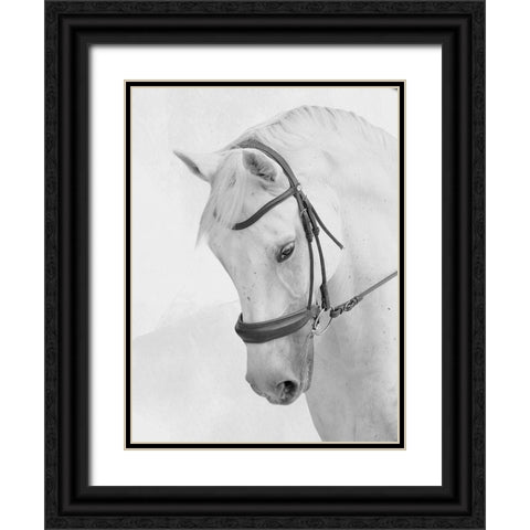 Praying Steed Black Ornate Wood Framed Art Print with Double Matting by Prime, Marcus