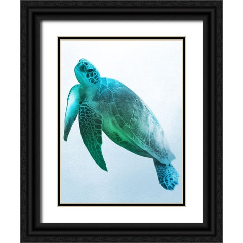 Floating Turtle 2 Black Ornate Wood Framed Art Print with Double Matting by Prime, Marcus