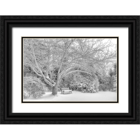 Aboretum December 2 Black Ornate Wood Framed Art Print with Double Matting by DeLuca, Pat