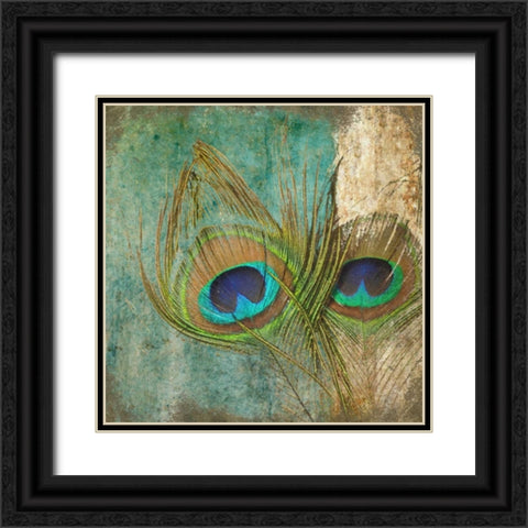 Peacock 2 Black Ornate Wood Framed Art Print with Double Matting by Greene, Taylor