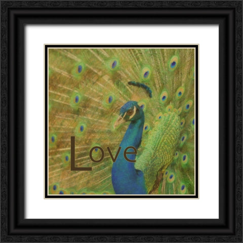 Peacock Love C Black Ornate Wood Framed Art Print with Double Matting by Greene, Taylor