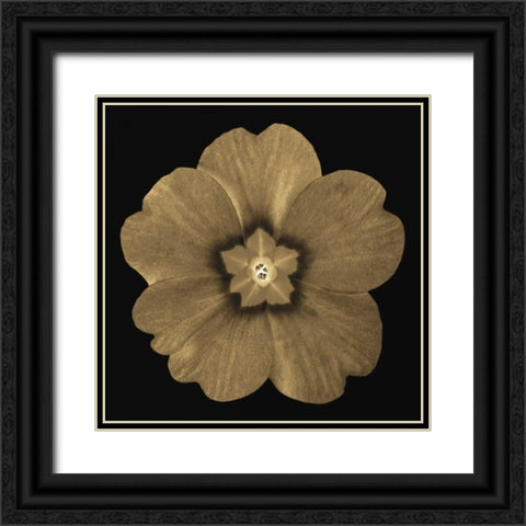 Sepia Floral A1 Black Ornate Wood Framed Art Print with Double Matting by Greene, Taylor