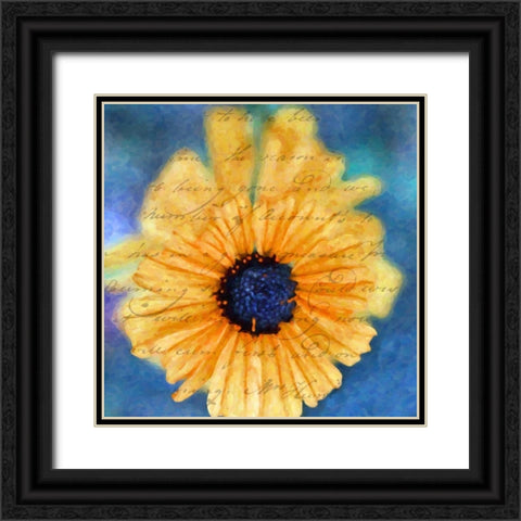 SCRIPTED WILD SUNFLOWER II Black Ornate Wood Framed Art Print with Double Matting by Greene, Taylor