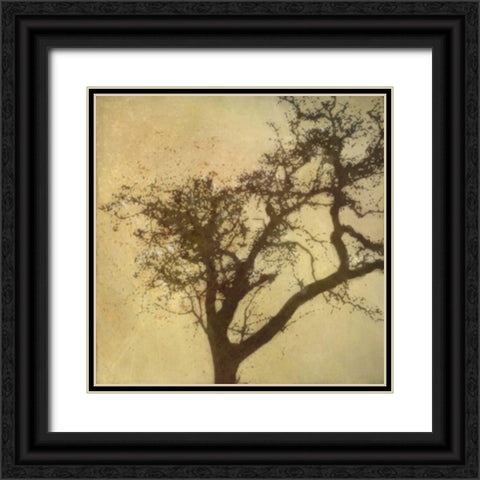 Silo Beauty Tree Black Ornate Wood Framed Art Print with Double Matting by Greene, Taylor
