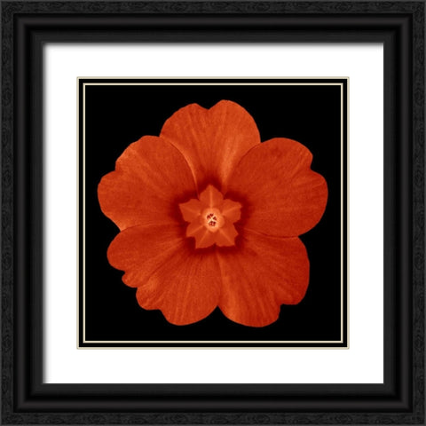 Sepia Floral 1 Black Ornate Wood Framed Art Print with Double Matting by Greene, Taylor