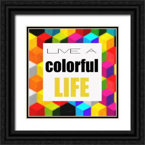 Live A Colorful Life Black Ornate Wood Framed Art Print with Double Matting by Greene, Taylor