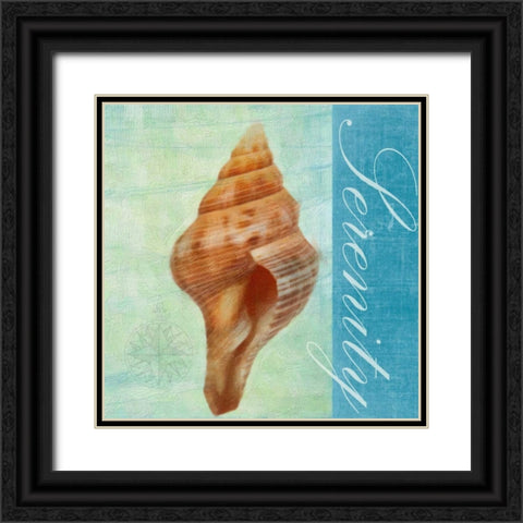 SERENITY Black Ornate Wood Framed Art Print with Double Matting by Greene, Taylor