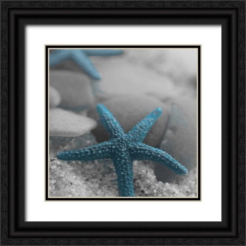 Blue Star Black Ornate Wood Framed Art Print with Double Matting by Pazan, Tony