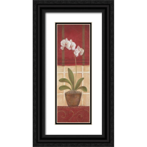 Window Wonders II Black Ornate Wood Framed Art Print with Double Matting by Tava Studios